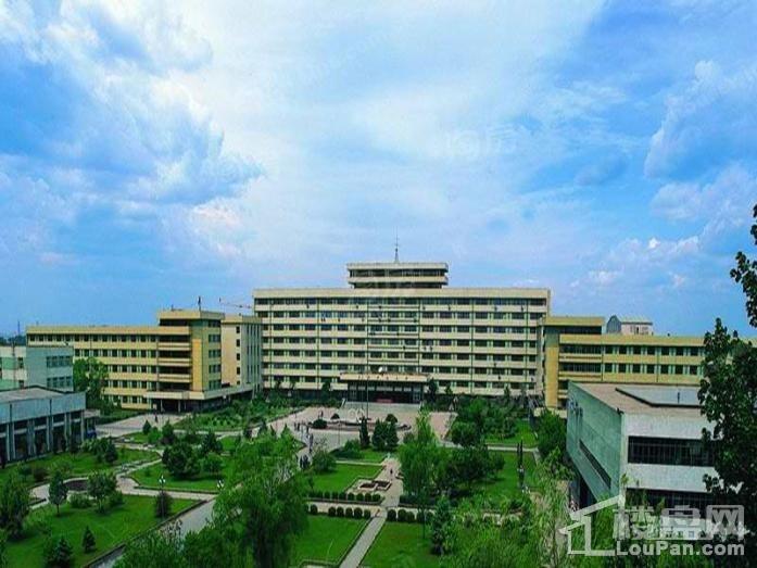 华鸿金色纽约配套图