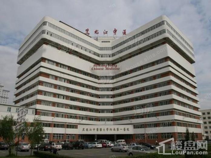 华鸿金色纽约配套图