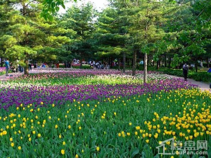 清滨花园配套图