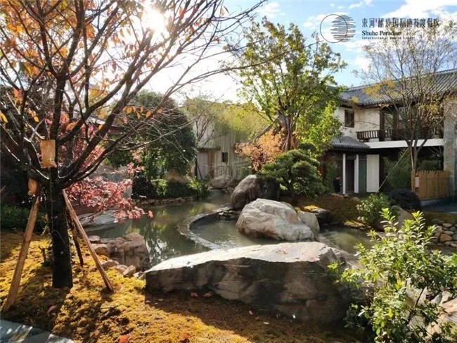 束河秘境国际康养度假区实景图