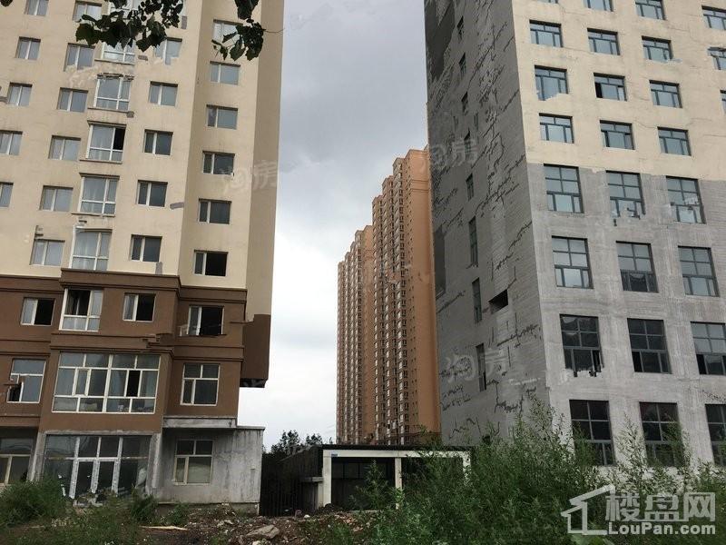 实景图