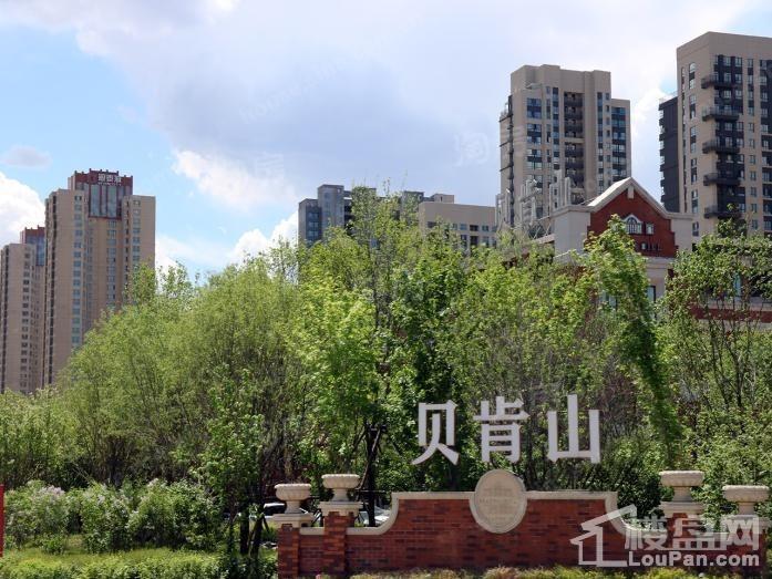 招商贝肯山实景图