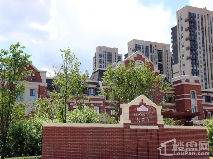 招商贝肯山实景图