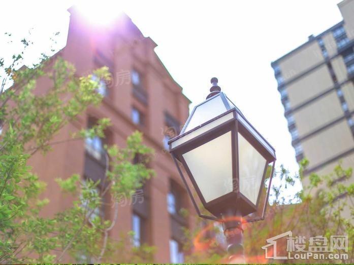 招商贝肯山实景图