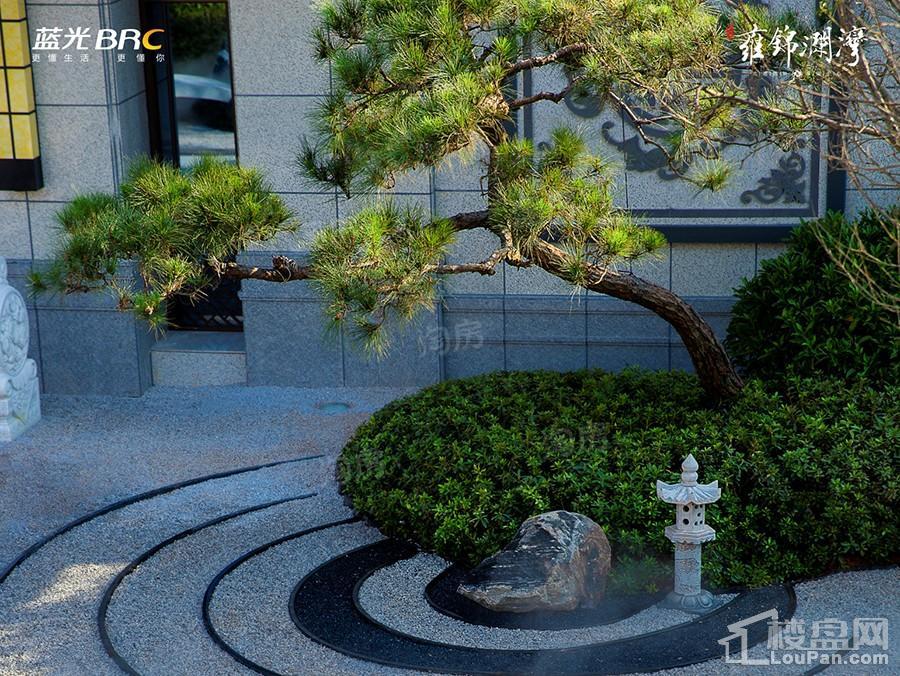 蓝光雍锦澜湾实景图