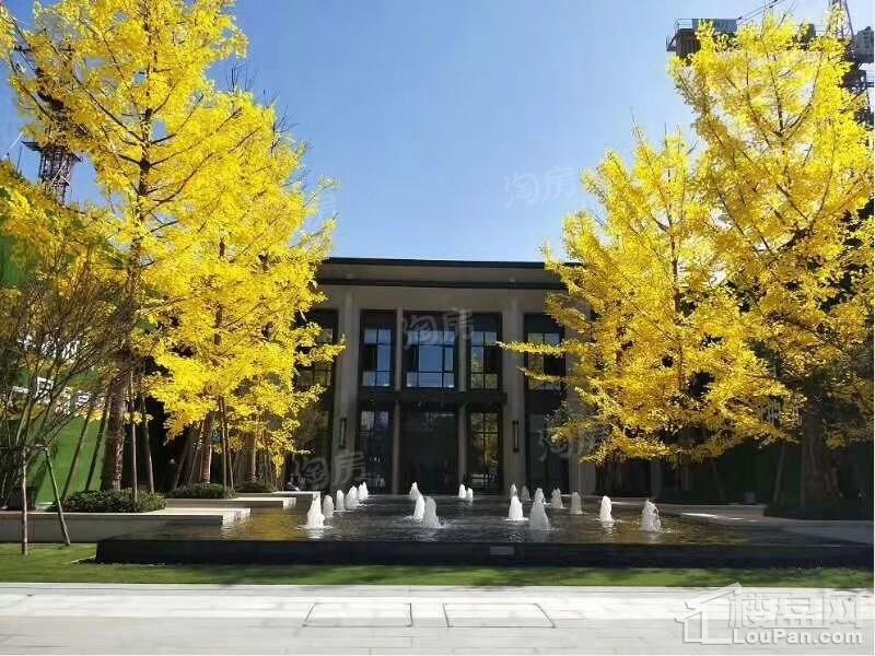 新力上园效果图