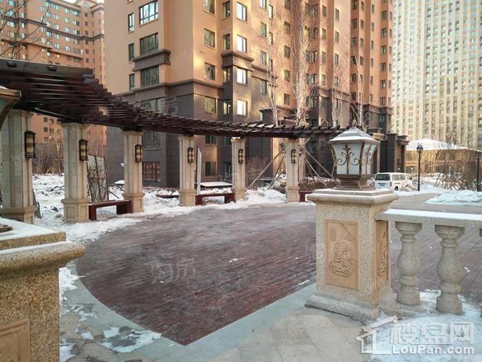 龙跃·金水湾实景图