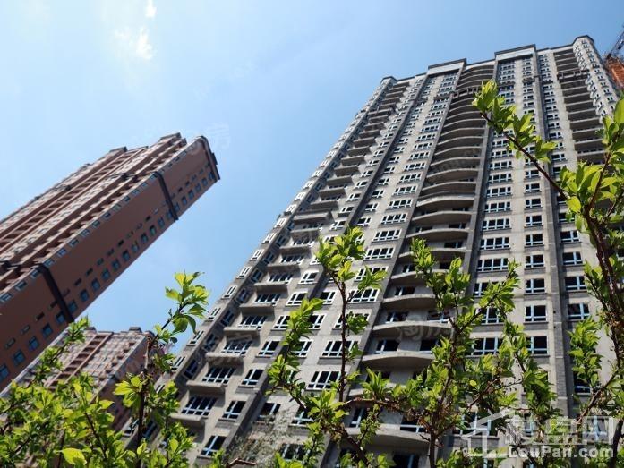 龙跃·金水湾实景图