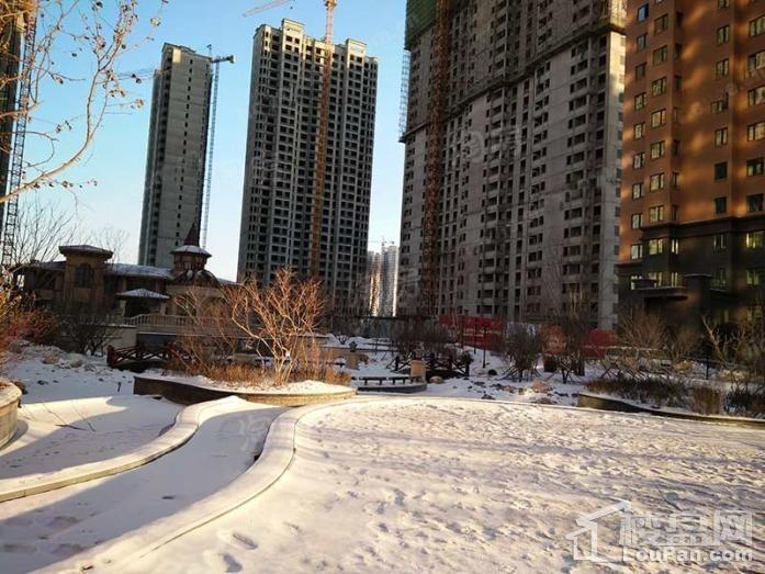 龙跃·金水湾实景图