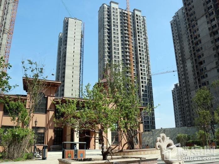 龙跃·金水湾实景图