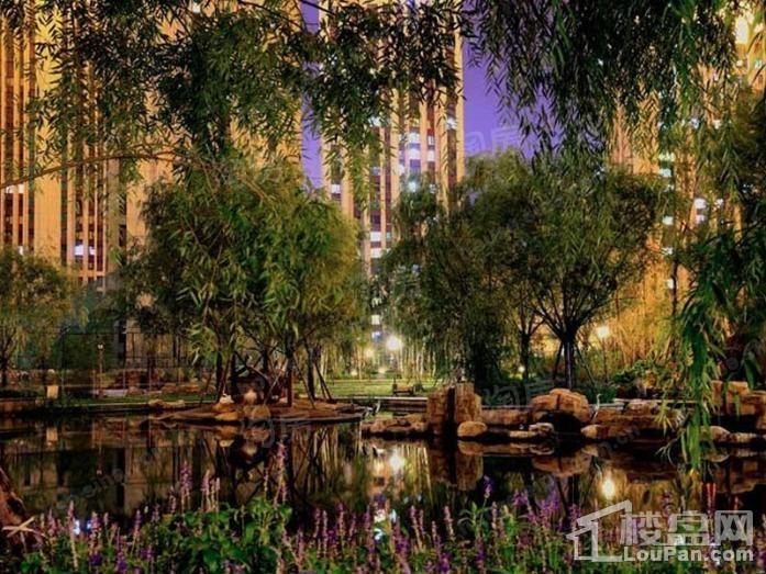 实景图