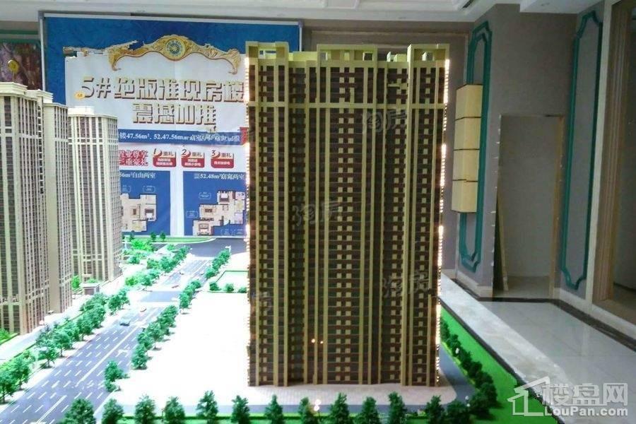 凡尔赛诗城二期实景图