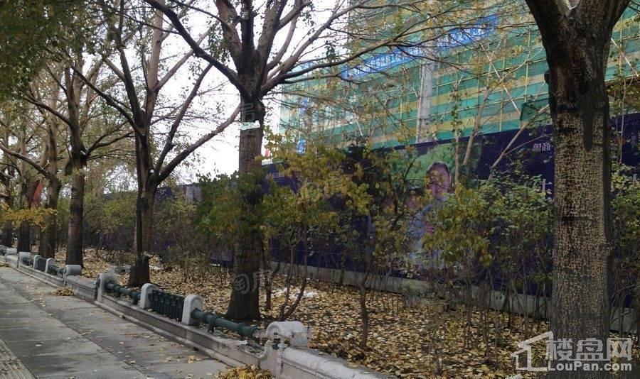 鲁商·铂悦公馆实景图