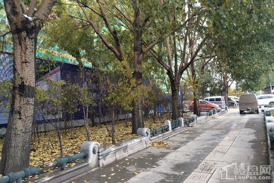 鲁商·铂悦公馆实景图