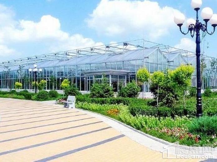 哈尔滨·恒大时代广场实景图