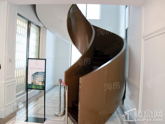 上和·树实景图