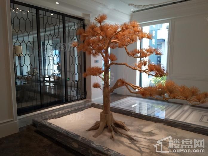 上和·树实景图