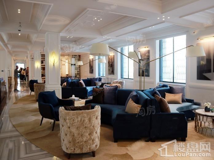 上和·树实景图