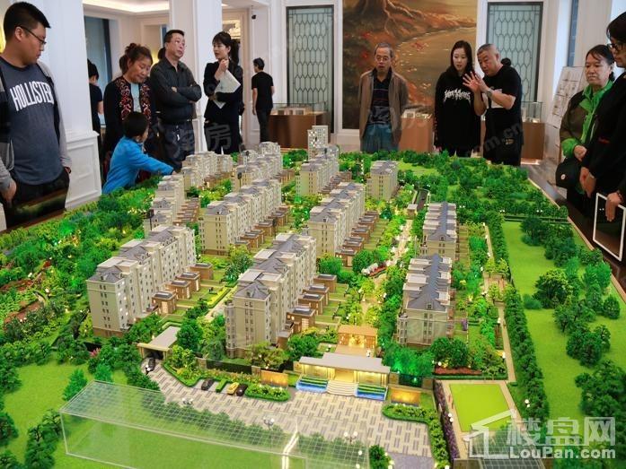 上和·树实景图