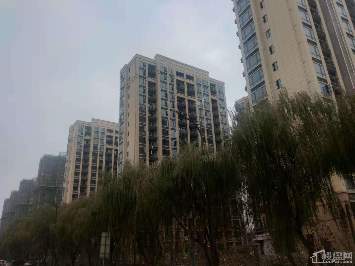 实景图