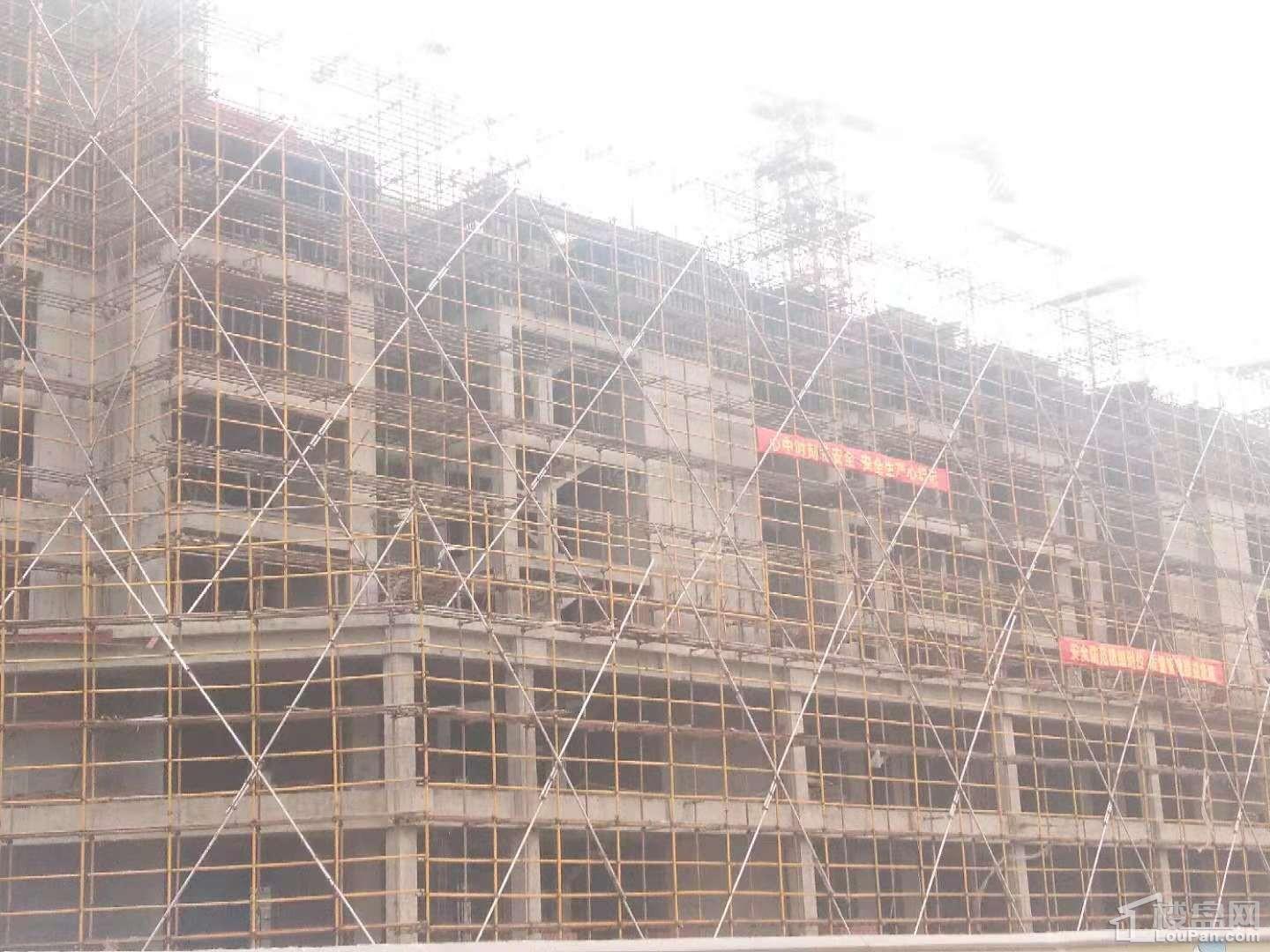 中都华庭实景图