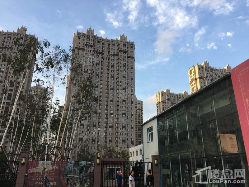 实景图
