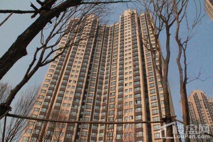 东鸿·艺境实景图