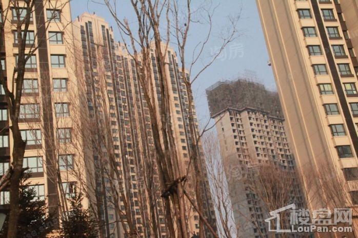 东鸿·艺境实景图