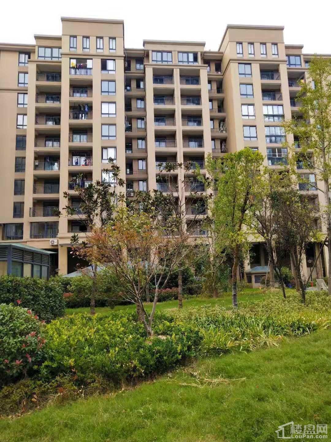 嘉善天凝金水湾实景图