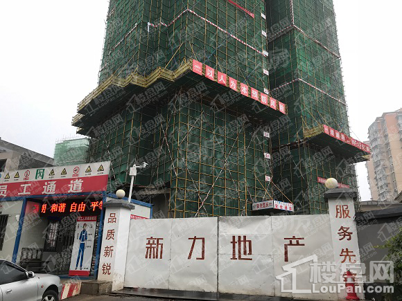 新力紫园实景图