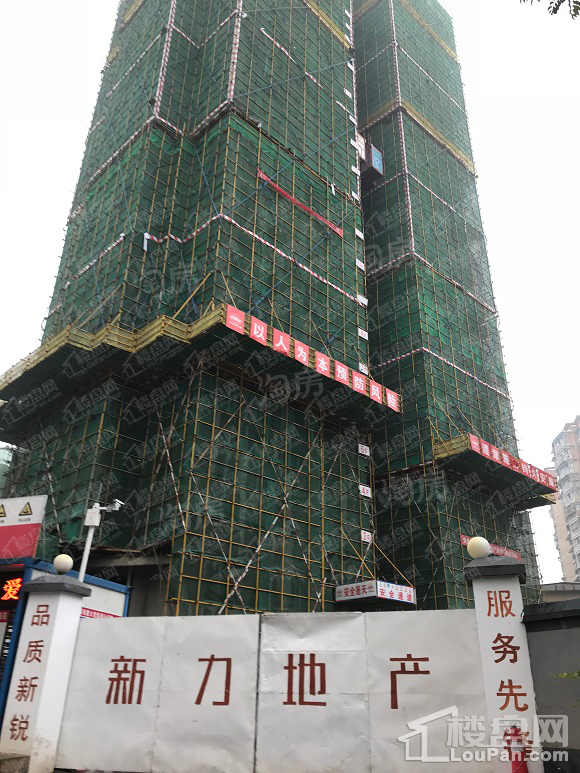 新力紫园实景图