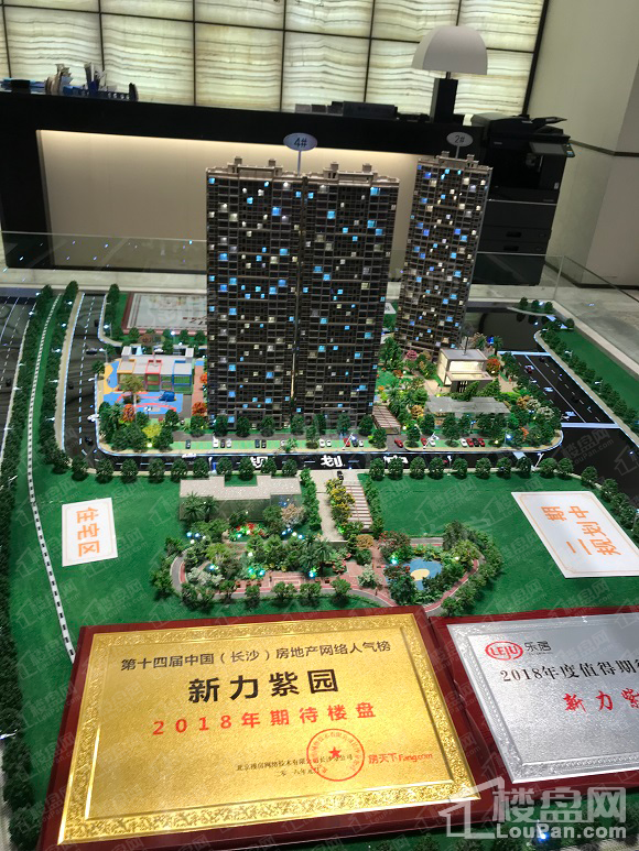 新力紫园实景图