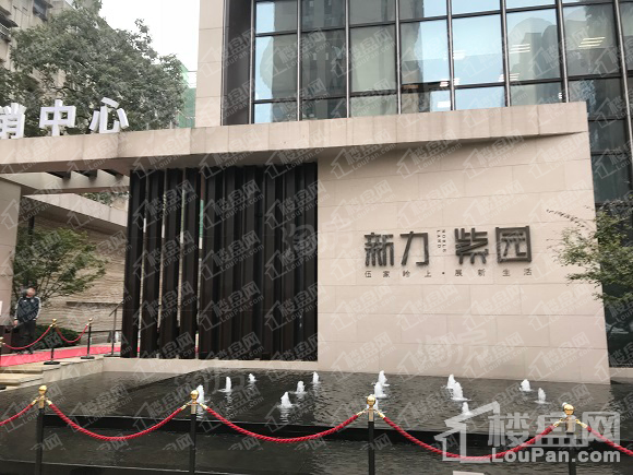 新力紫园实景图