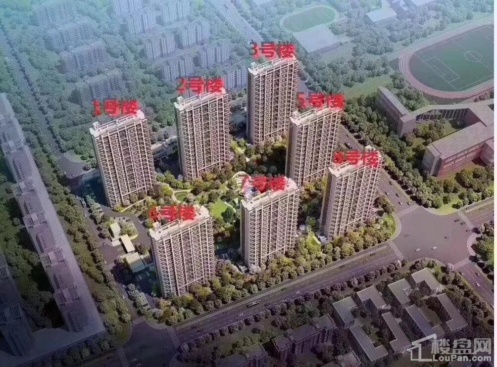 实景图