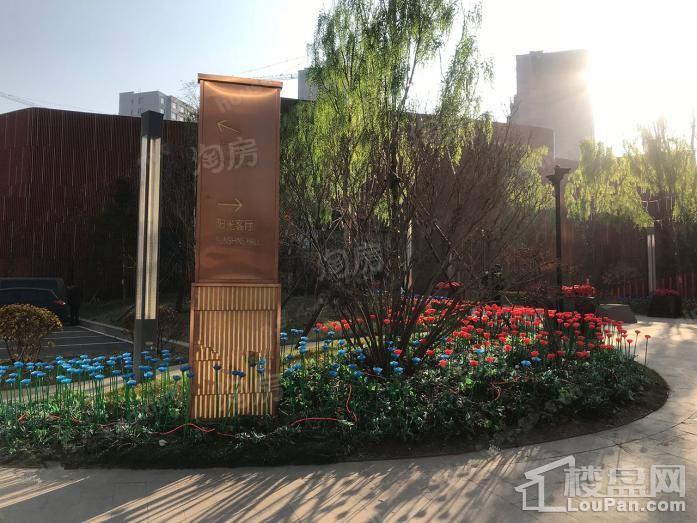 万科·招商城市之光实景图