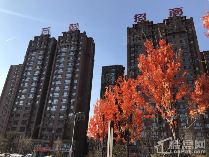 万科·招商城市之光实景图