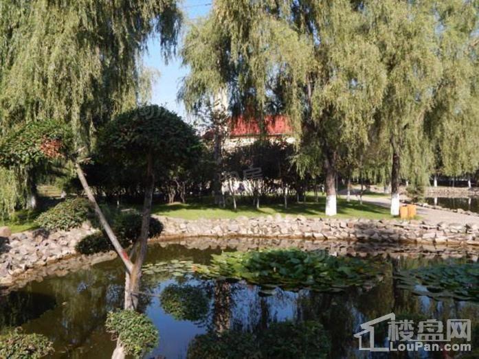 万科·招商城市之光配套图