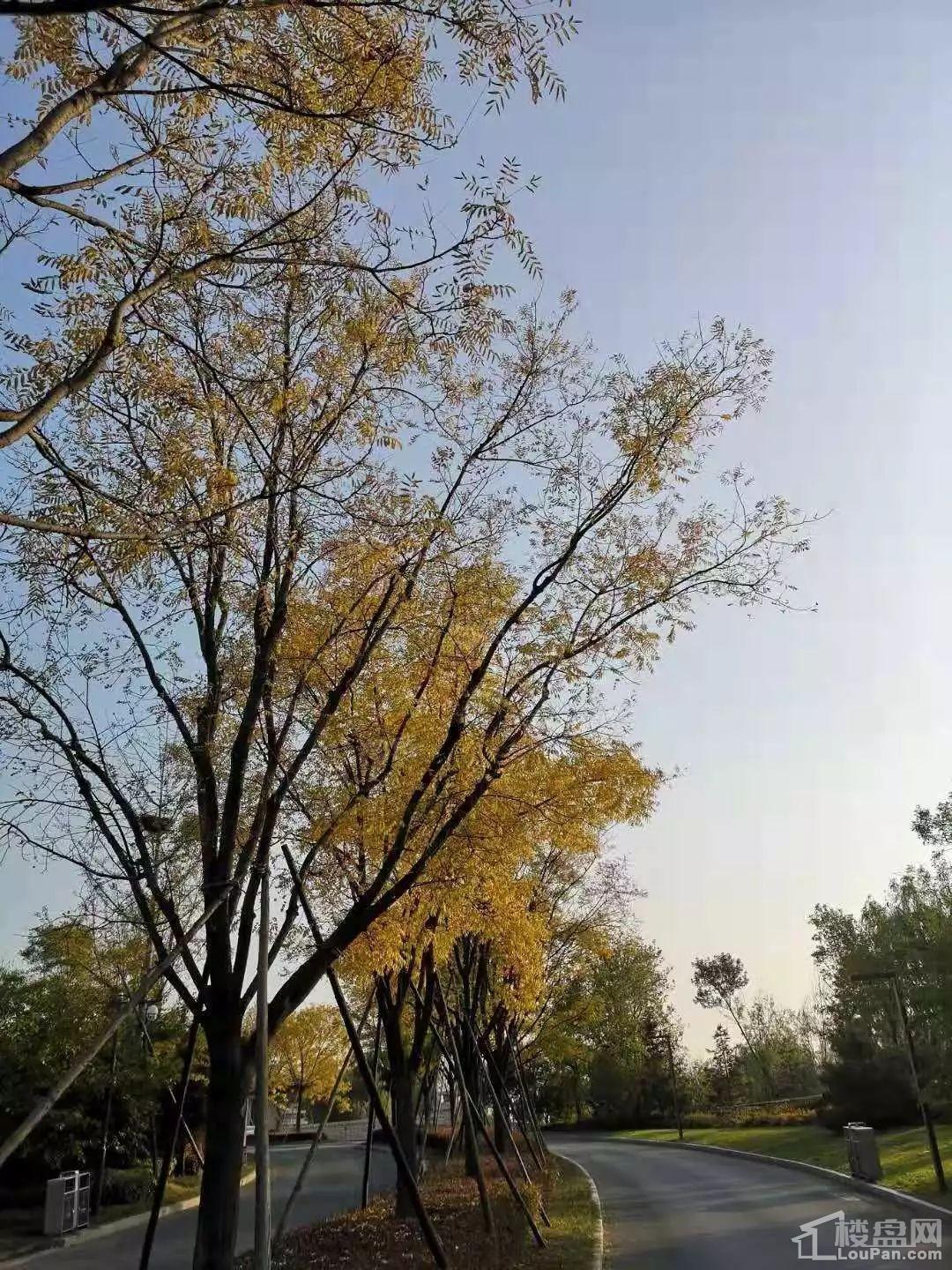 蔚蓝海岸实景图