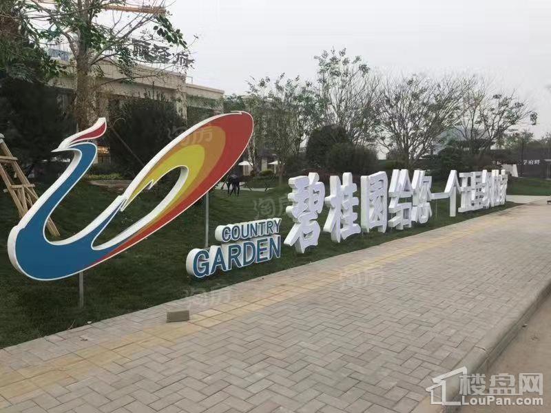 碧桂园丽泽府实景图