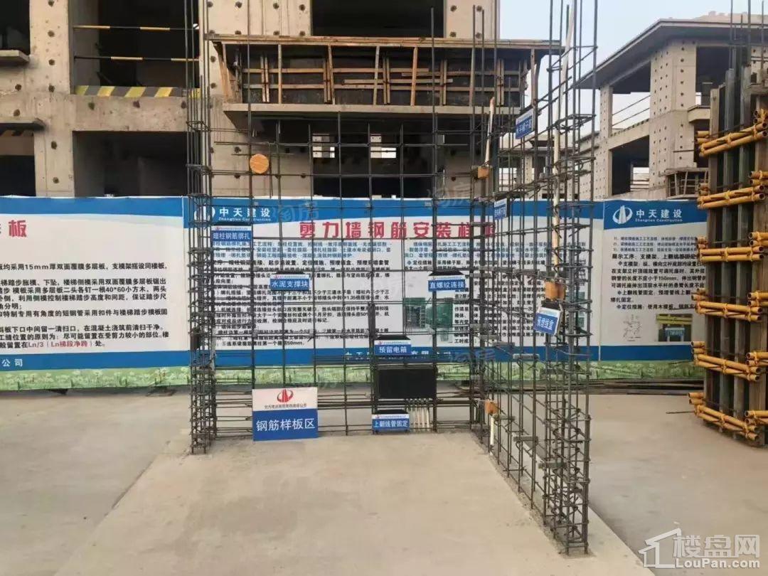 北戴河孔雀城实景图