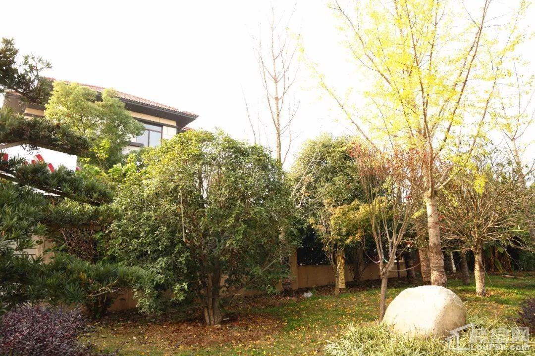 龙郡朝阳苑实景图