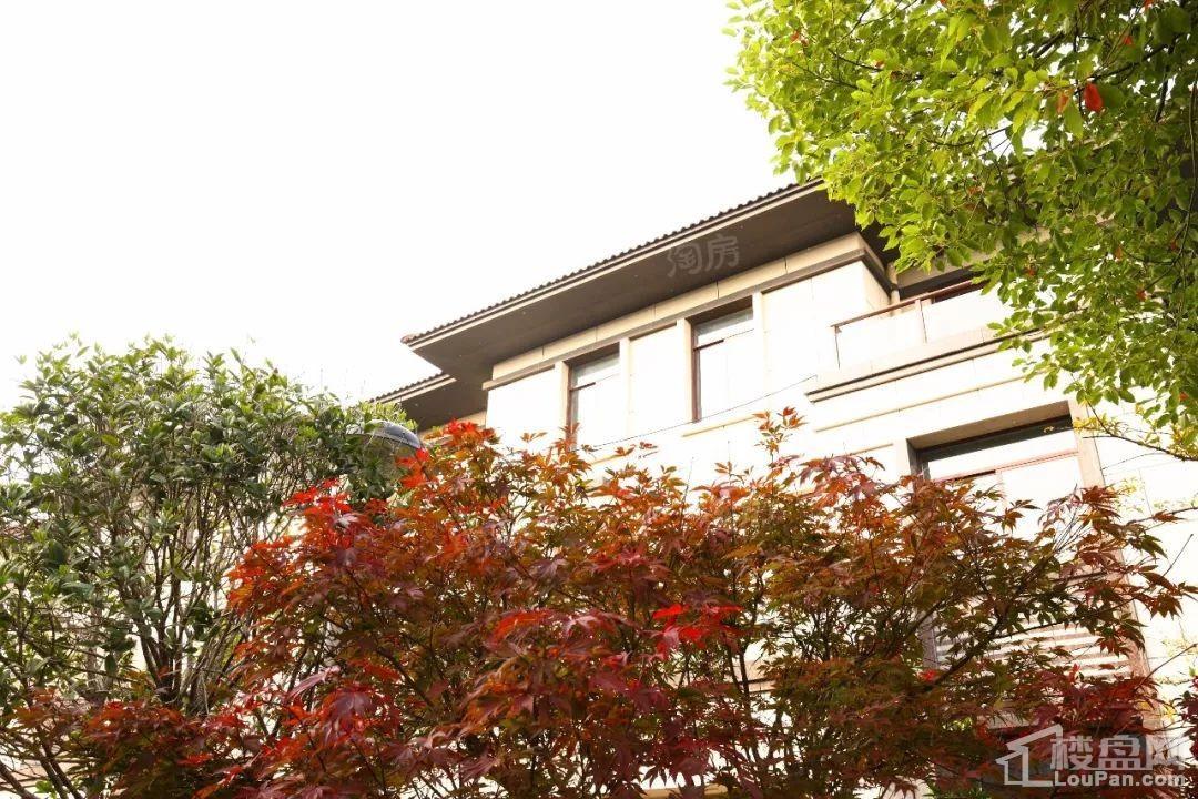 龙郡朝阳苑实景图