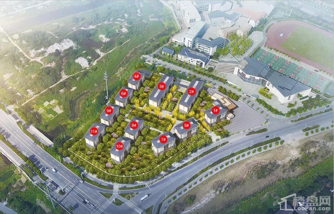 效果图