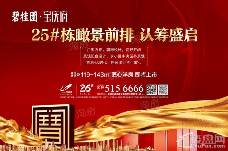 碧桂园·宝庆府效果图