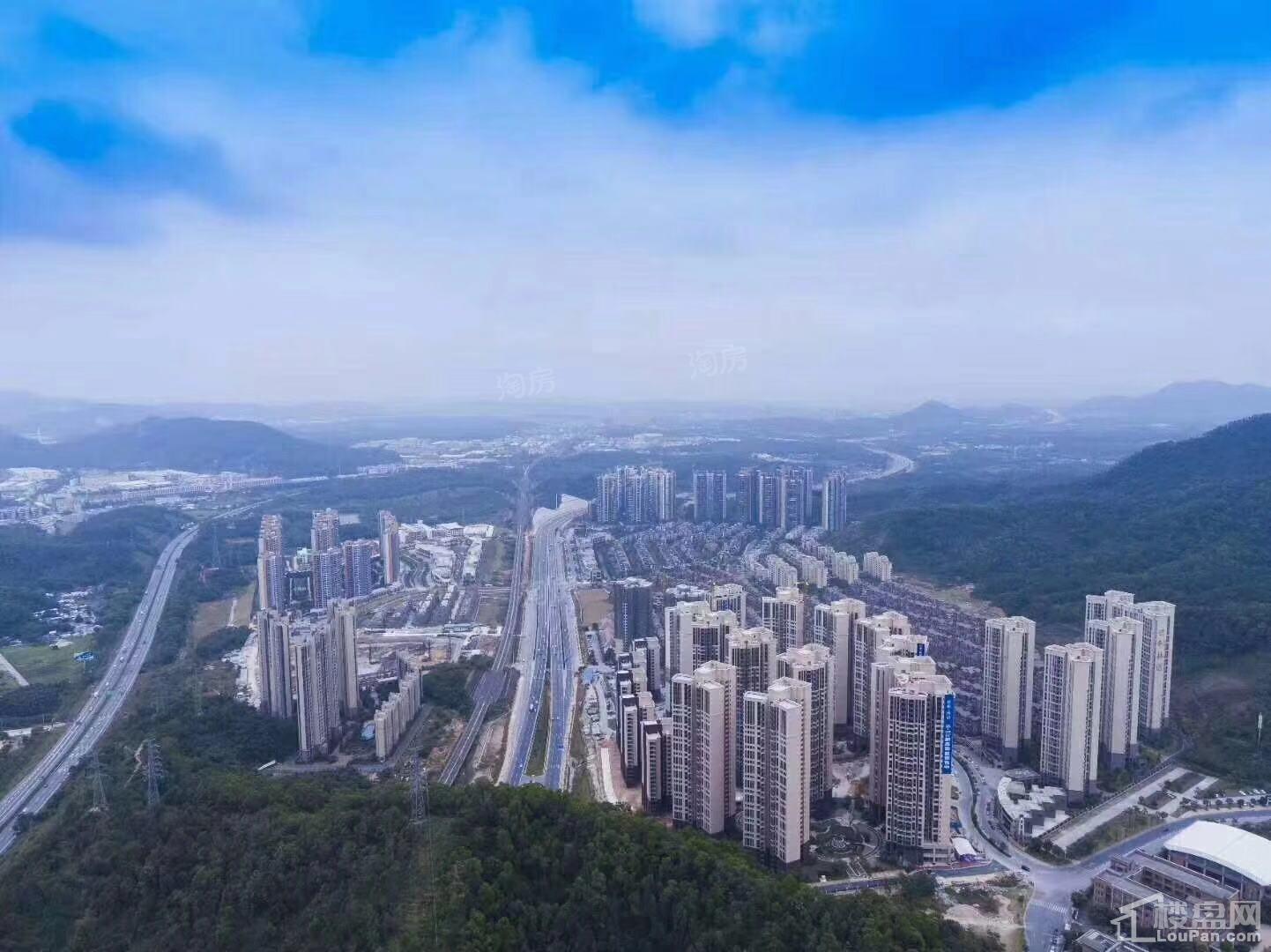 保利林语实景图