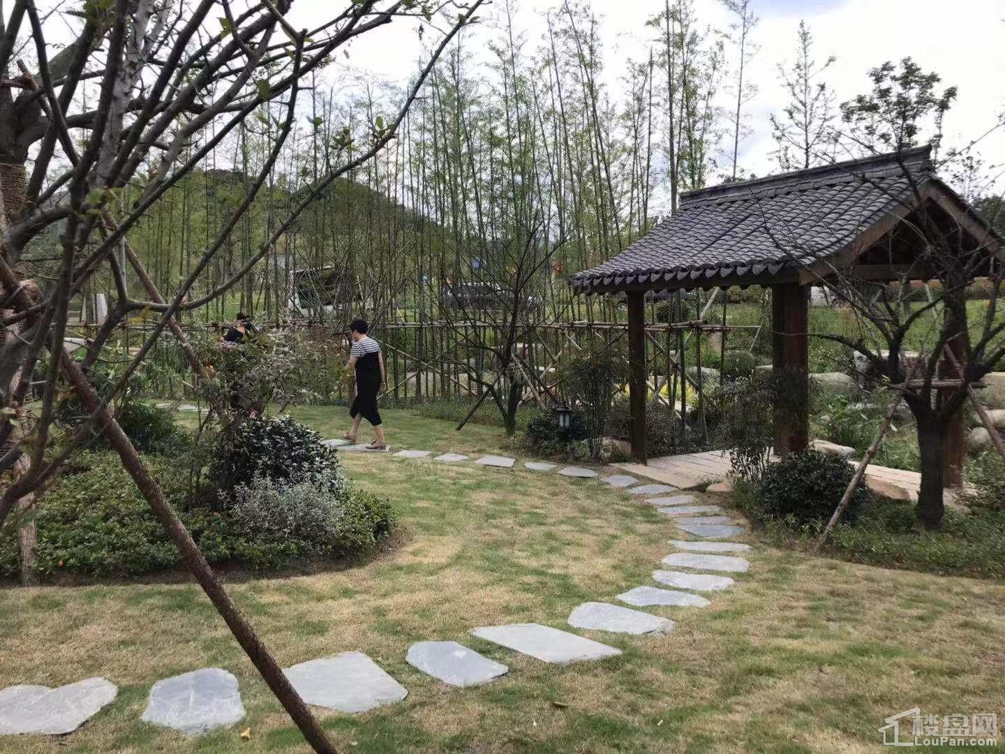 原乡小镇实景图