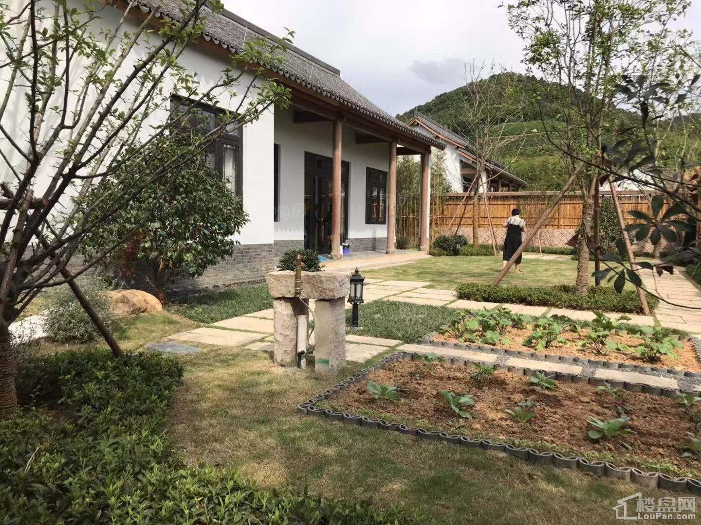 实景图