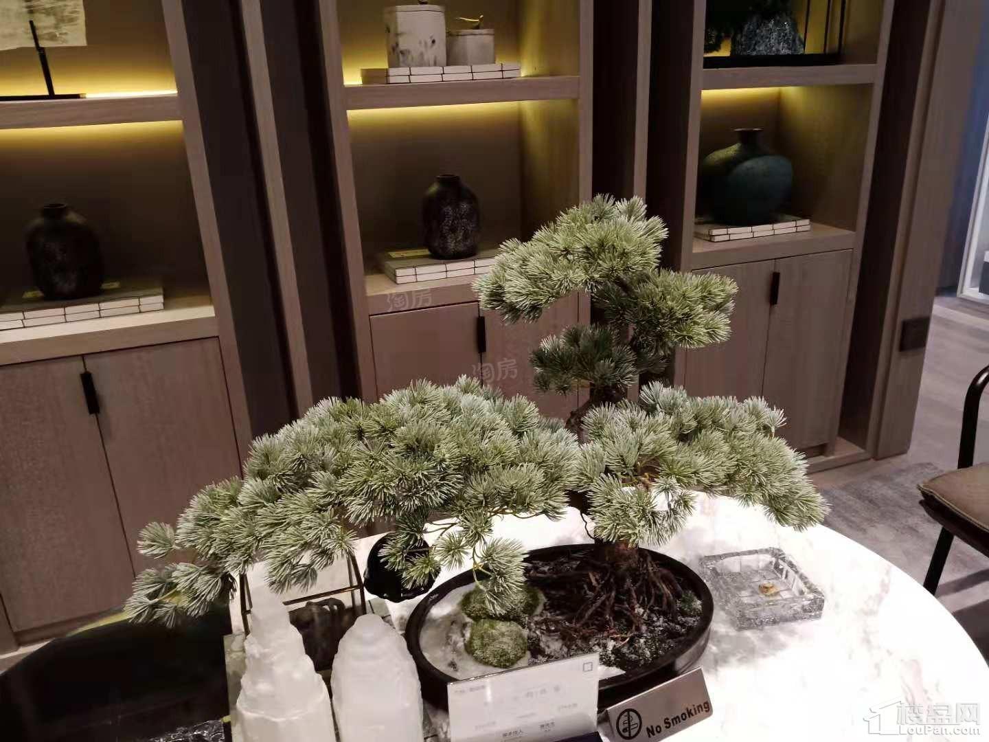 万科朗润园实景图