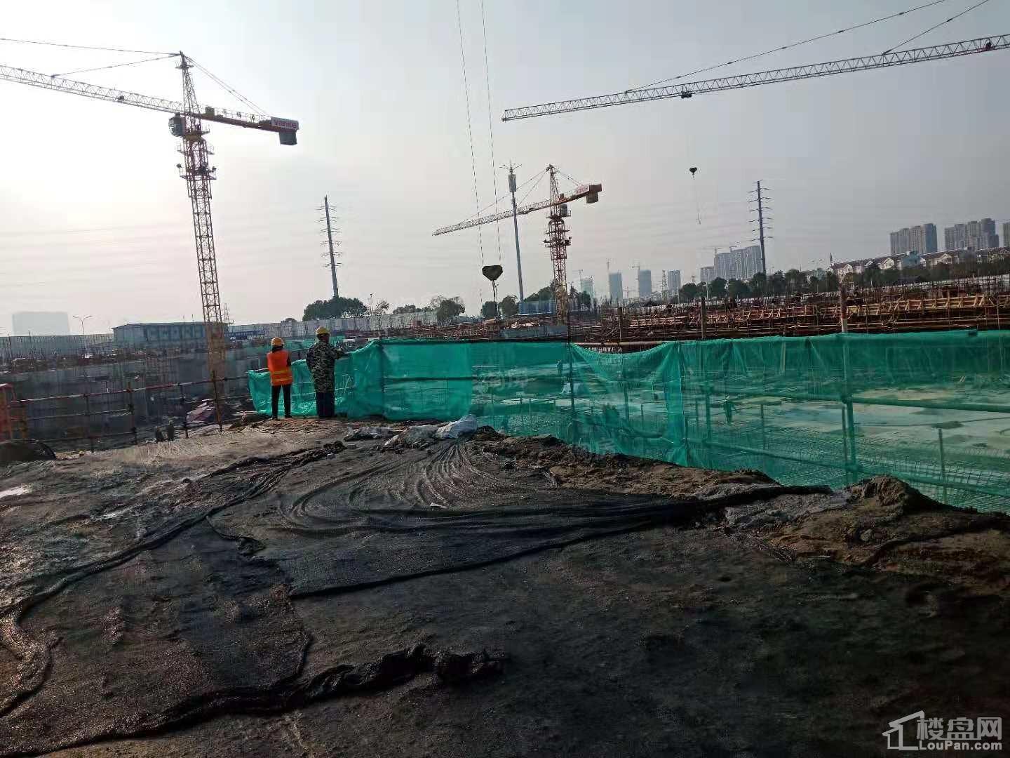万科朗润园实景图