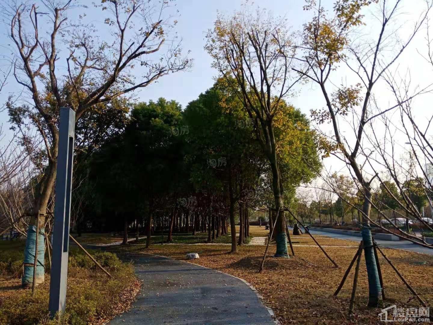 万科朗润园配套图